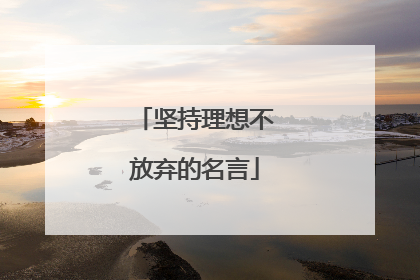 坚持理想不放弃的名言