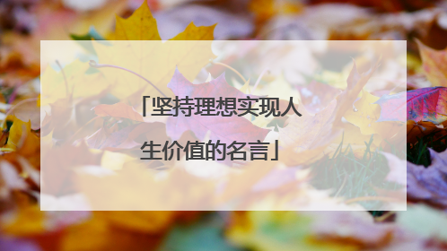 坚持理想实现人生价值的名言