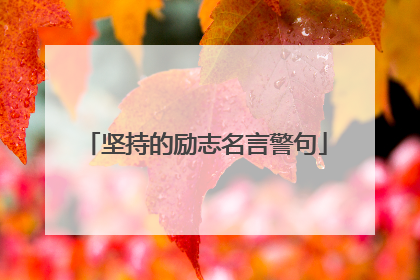 坚持的励志名言警句