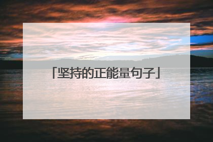 坚持的正能量句子