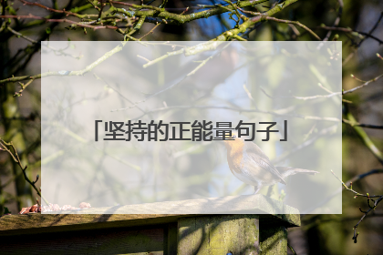 坚持的正能量句子