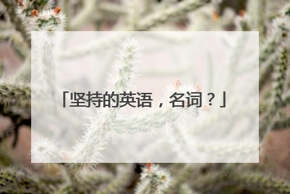 坚持的英语,名词?