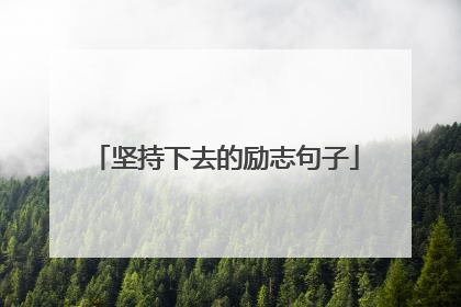 坚持下去的励志句子