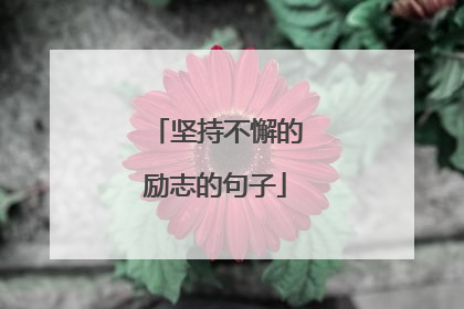 坚持不懈的励志的句子
