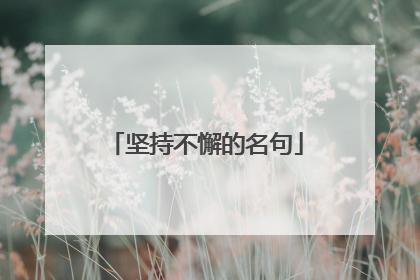 坚持不懈的名句