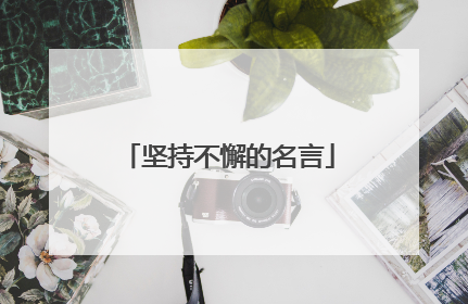 坚持不懈的名言
