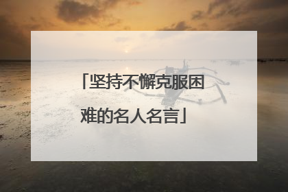 坚持不懈克服困难的名人名言