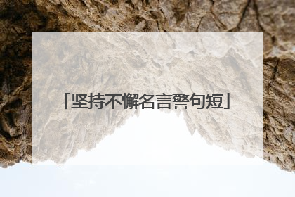 坚持不懈名言警句短