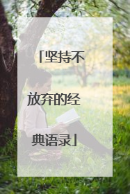 坚持不放弃的经典语录