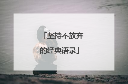 坚持不放弃的经典语录