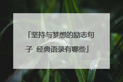 坚持与梦想的励志句子 经典语录有哪些