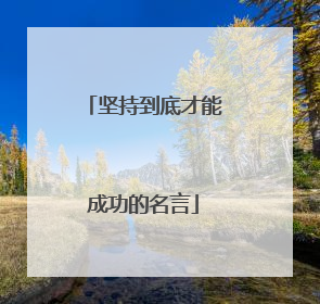 坚持到底才能成功的名言