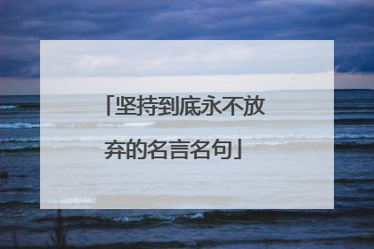 坚持到底永不放弃的名言名句