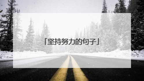 坚持努力的句子