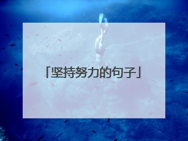 坚持努力的句子