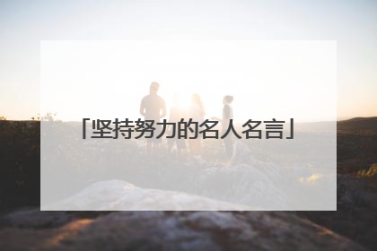 坚持努力的名人名言