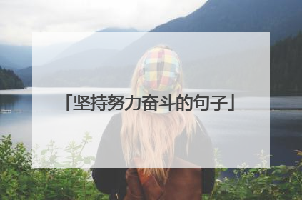 坚持努力奋斗的句子