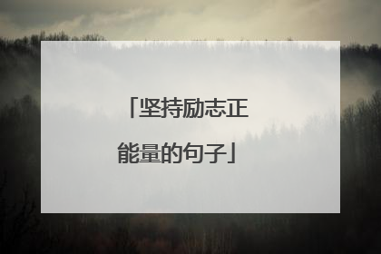 坚持励志正能量的句子
