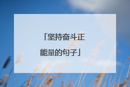 坚持奋斗正能量的句子