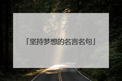 坚持梦想的名言名句