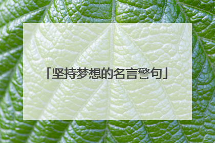 坚持梦想的名言警句