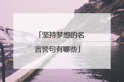 坚持梦想的名言警句有哪些
