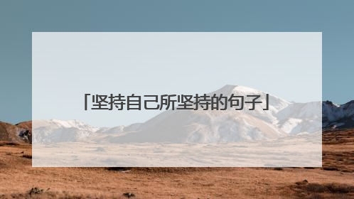 坚持自己所坚持的句子