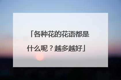 各种花的花语都是什么呢?越多越好