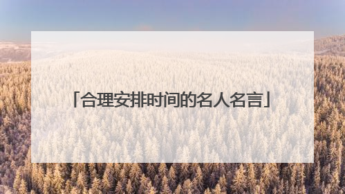合理安排时间的名人名言