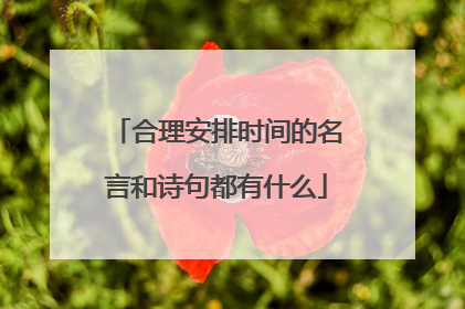 合理安排时间的名言和诗句都有什么