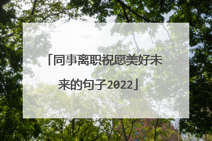 同事离职祝愿美好未来的句子2022