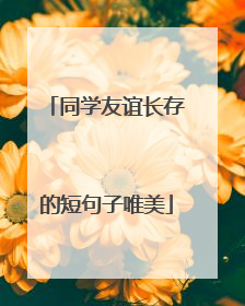 同学友谊长存的短句子唯美