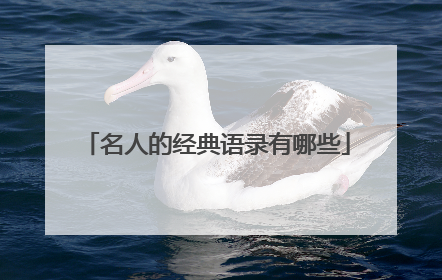 名人的经典语录有哪些