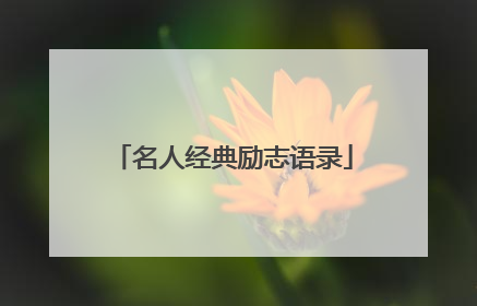 名人经典励志语录
