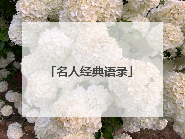 名人经典语录