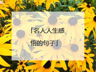 名人人生感悟的句子