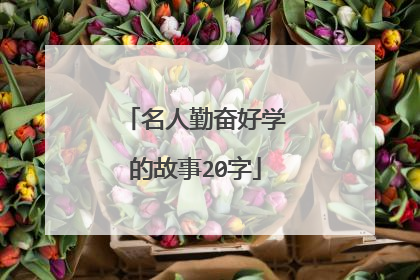 名人勤奋好学的故事20字