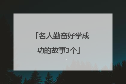 名人勤奋好学成功的故事3个