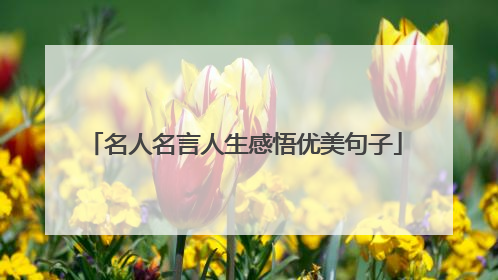 名人名言人生感悟优美句子