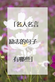 名人名言励志的句子有哪些