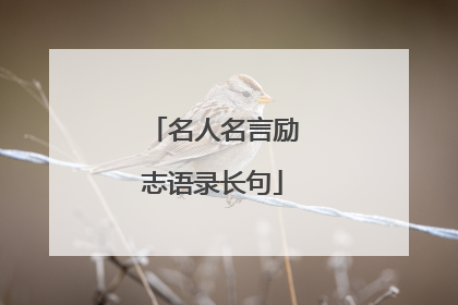 名人名言励志语录长句
