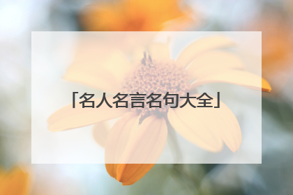 名人名言名句大全