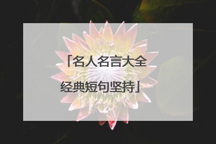 名人名言大全经典短句坚持