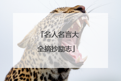 名人名言大全摘抄励志