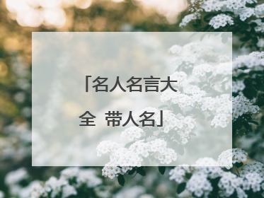 名人名言大全 带人名