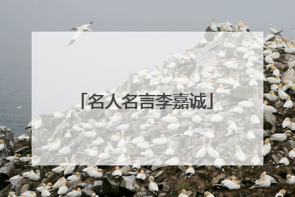 名人名言李嘉诚