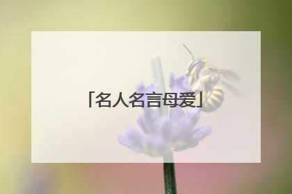 名人名言母爱