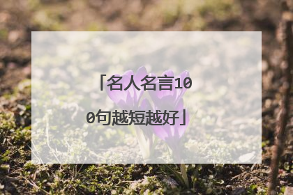 名人名言100句越短越好