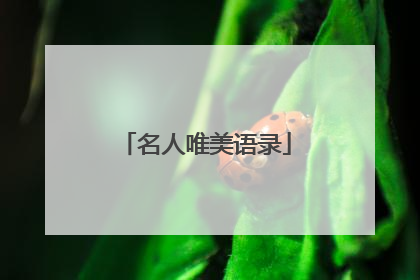 名人唯美语录