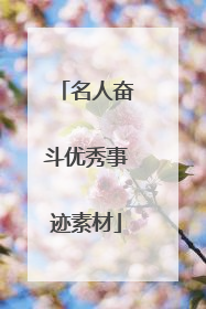 名人奋斗优秀事迹素材